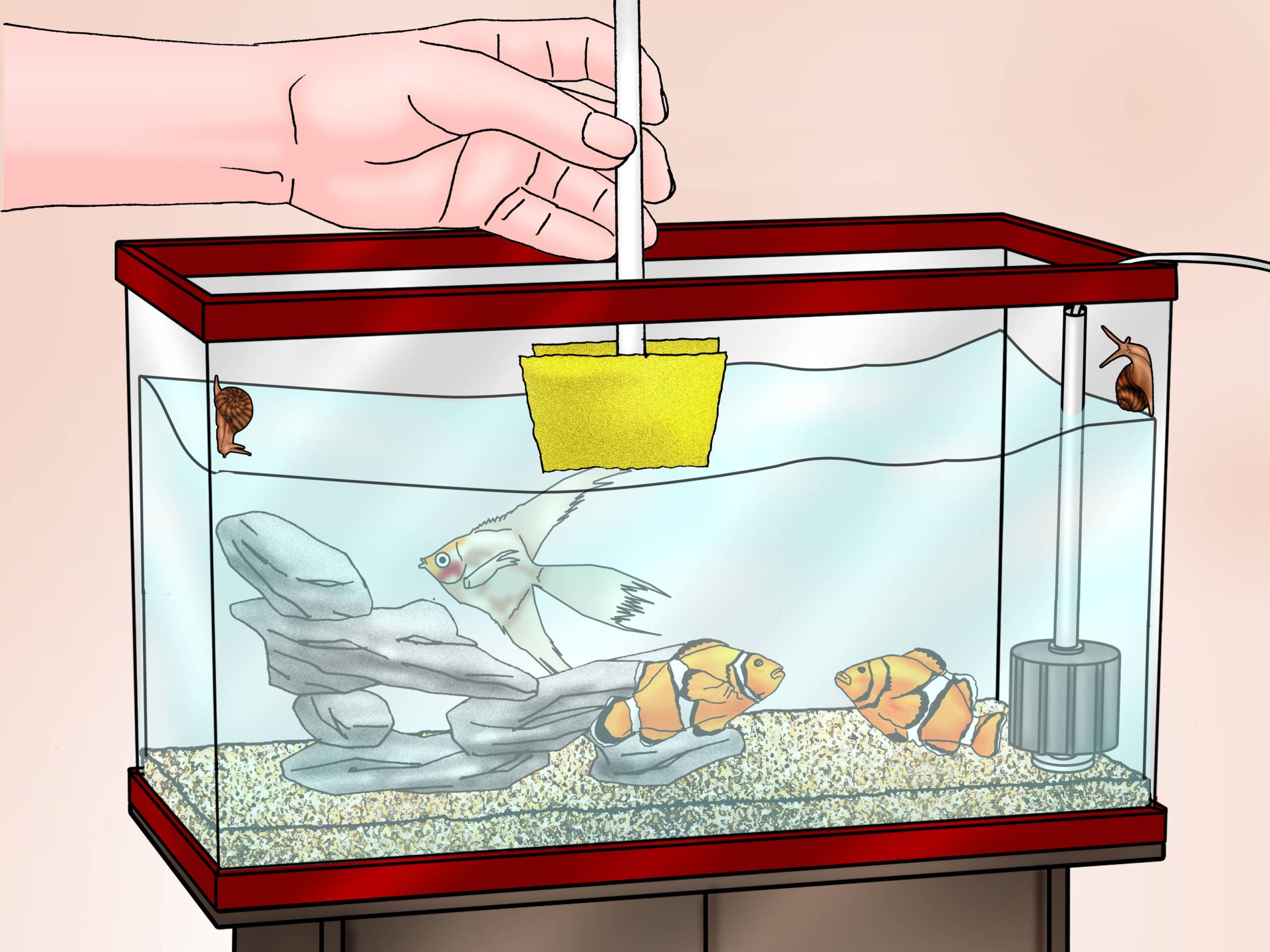Правила ухода за аквариумом