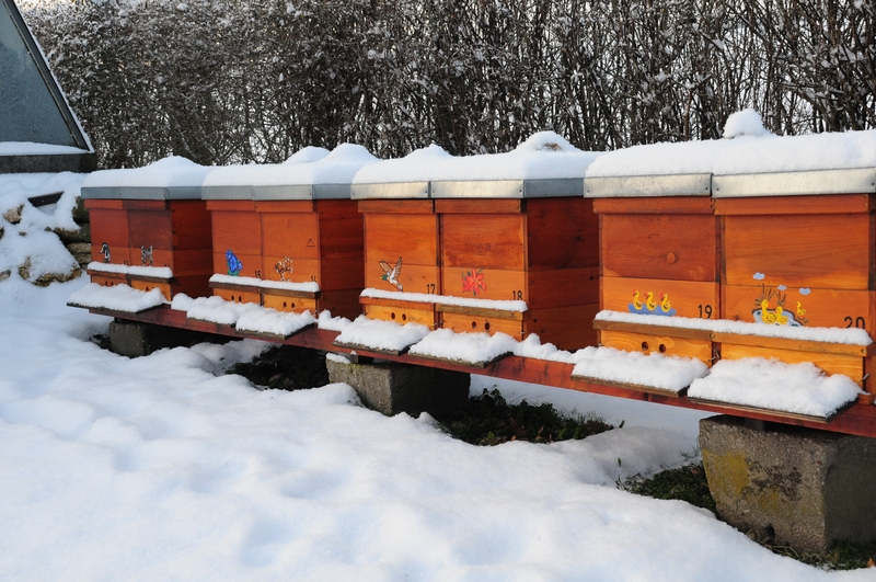 Февральские и мартовские работы пчеловода